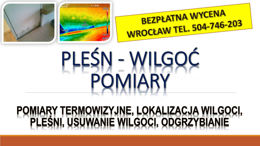 Wykrycie pleśni, t504-746-203. Wrocław, wykrywanie, pleśń, lokalizacja Psie Pole - zdjęcie 3