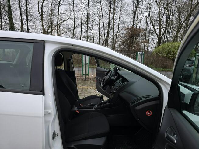 Ford Focus 1.5 TDCi 95KM / Salon PL / Serwisowany Skępe - zdjęcie 9