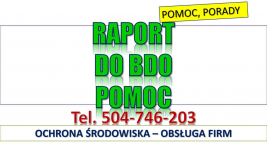 Sprawozdanie do BDO, t504746203. Pomoc, obsługa firm. Raport za odpady Psie Pole - zdjęcie 6