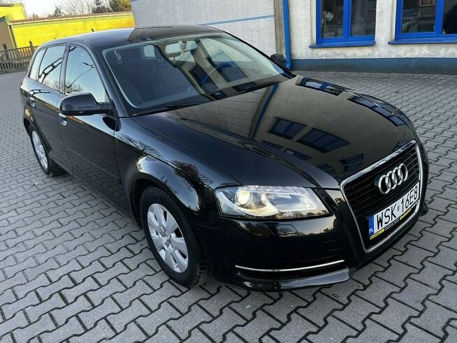 Audi A3 Lift 1.6Tdi 2012r Xenon Led Sportback Alufelgi Hak Climatronic Sokołów Podlaski - zdjęcie 3