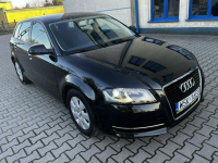 Audi A3 Lift 1.6Tdi 2012r Xenon Led Sportback Alufelgi Hak Climatronic Sokołów Podlaski - zdjęcie 3
