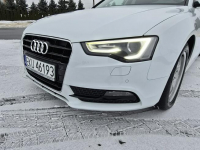 Audi A5 2,0tdi Navigacja.Skóry.Tempomat.Xenony.Ledy.Alu.kredyt! Kutno - zdjęcie 9