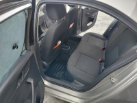 Sprzedam Marianki - zdjęcie 6