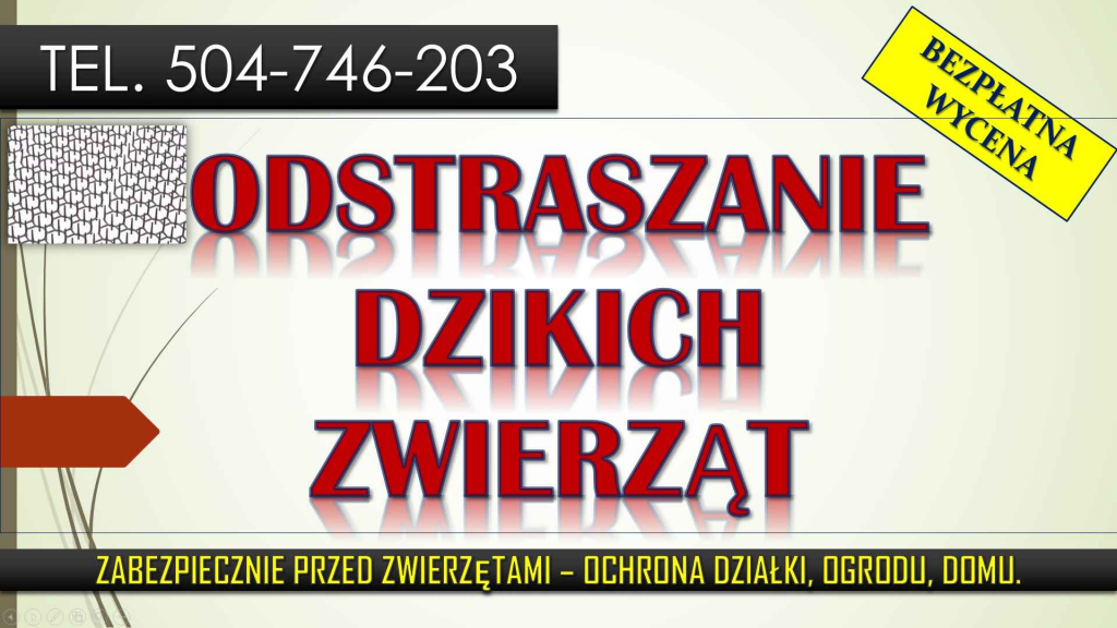 Zabezpieczenie i ochrona przed zwierzętami, tel. 504-746-203, cena Psie Pole - zdjęcie 6