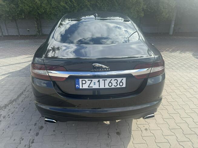 Jaguar XF Zielona Łąka - zdjęcie 5