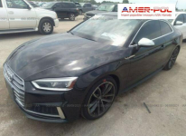 Audi S5 2019, 3.0L, 4x4, po gradobiciu