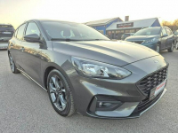 Ford Focus STLine 2.0TDCI 150KM Gniewkowo - zdjęcie 2