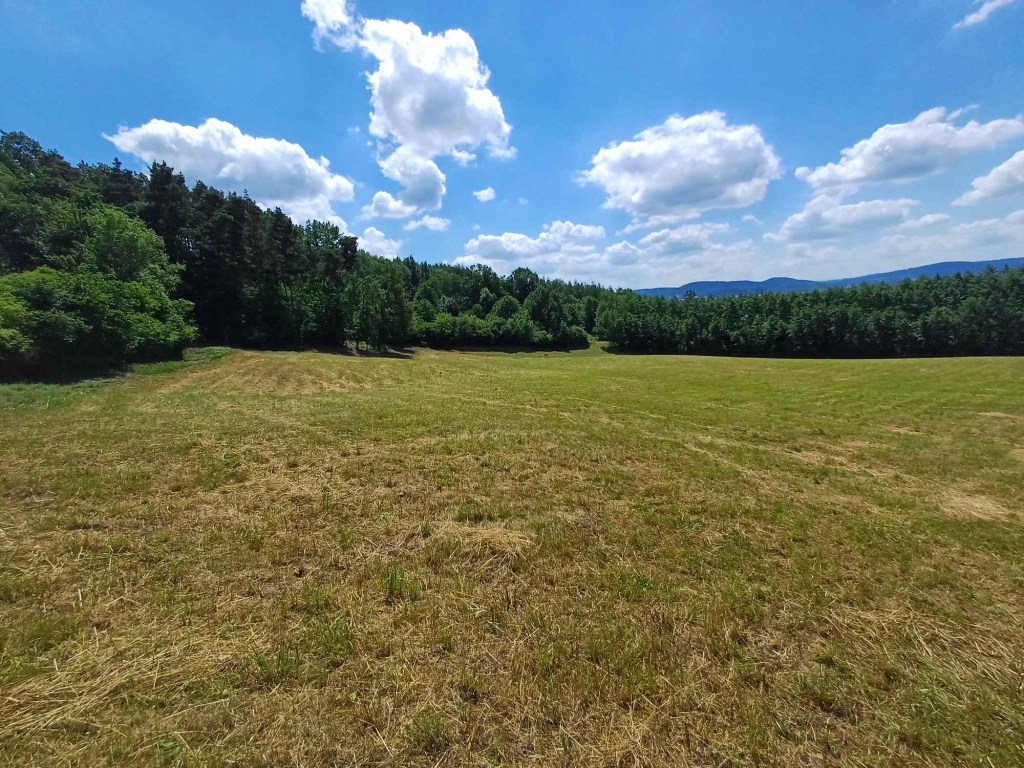Sprzedam Działkę Wróblowice - zdjęcie 3
