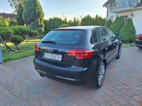 Audi A3 Klimatronik    Serwisowany Stan Bardzo Dobry Załom - zdjęcie 7