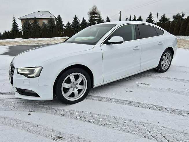 Audi A5 2,0tdi Navigacja.Skóry.Tempomat.Xenony.Ledy.Alu.kredyt! Kutno - zdjęcie 7