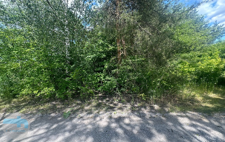 Dwie działki (1083 m2 i 1035 m2), niedaleko ulicy Warszawskiej. Michałów-Reginów - zdjęcie 3