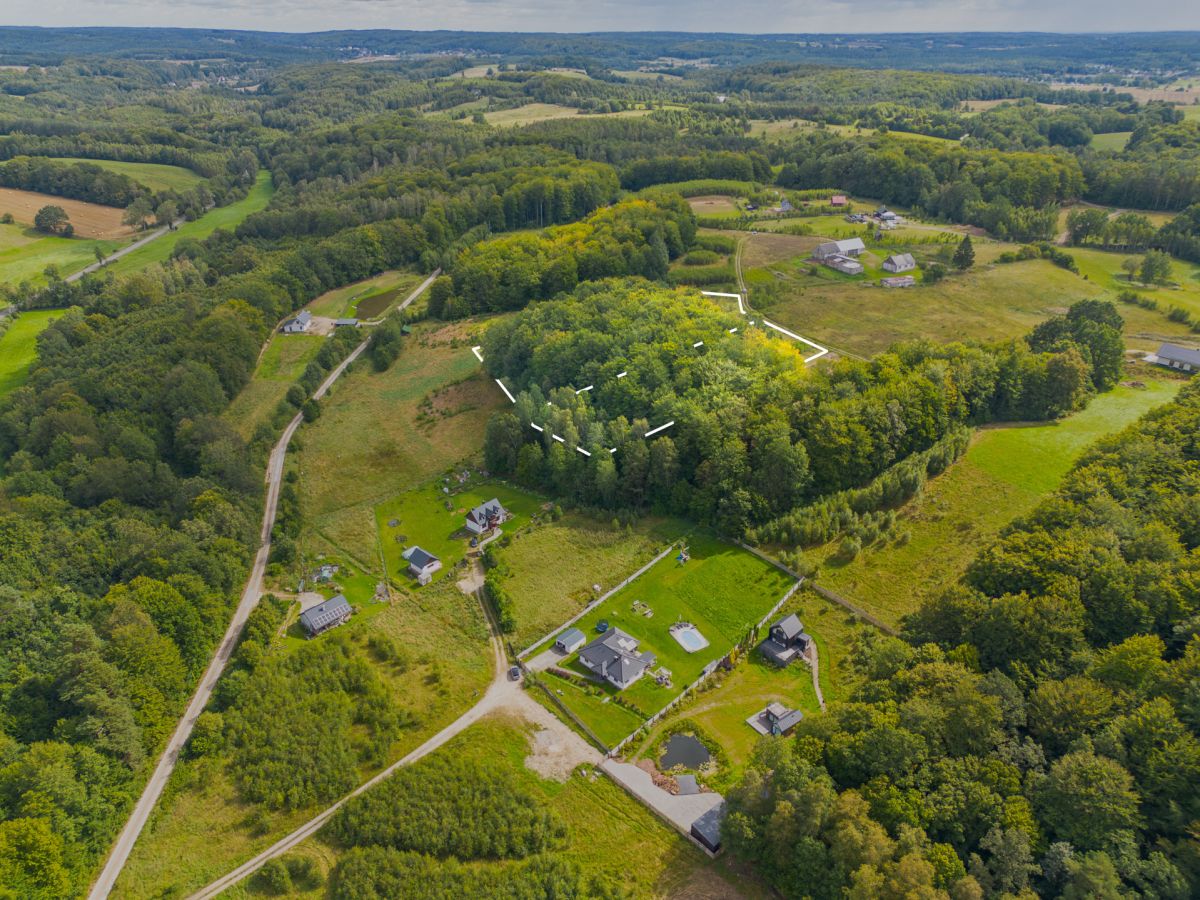 Malownicza okolica i prywatny las. Blisko jezioro Trzepowo - zdjęcie 6