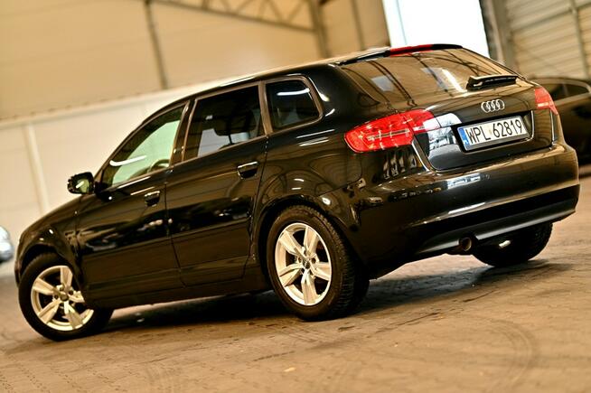 Audi A3 _1.6TDI 105KM_Skóra Climatronic Grzane Pdc Polski Salon Płock - zdjęcie 2