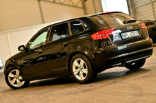 Audi A3 _1.6TDI 105KM_Skóra Climatronic Grzane Pdc Polski Salon Płock - zdjęcie 2