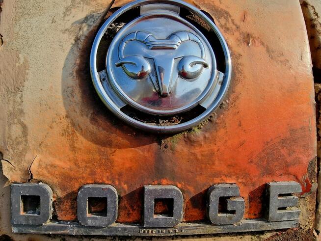 Dodge Job Rated 1954 Vintage Ambulance Food Truck Project Sulechów - zdjęcie 4