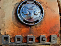 Dodge Job Rated 1954 Vintage Ambulance Food Truck Project Sulechów - zdjęcie 4