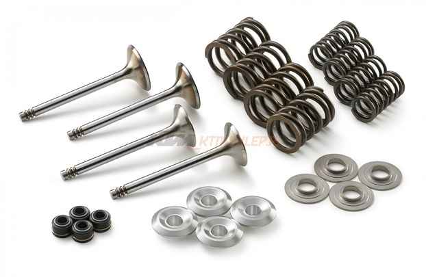 KTM 530 engine silnik tunerski wk1 Jankowo Dolne - zdjęcie 5