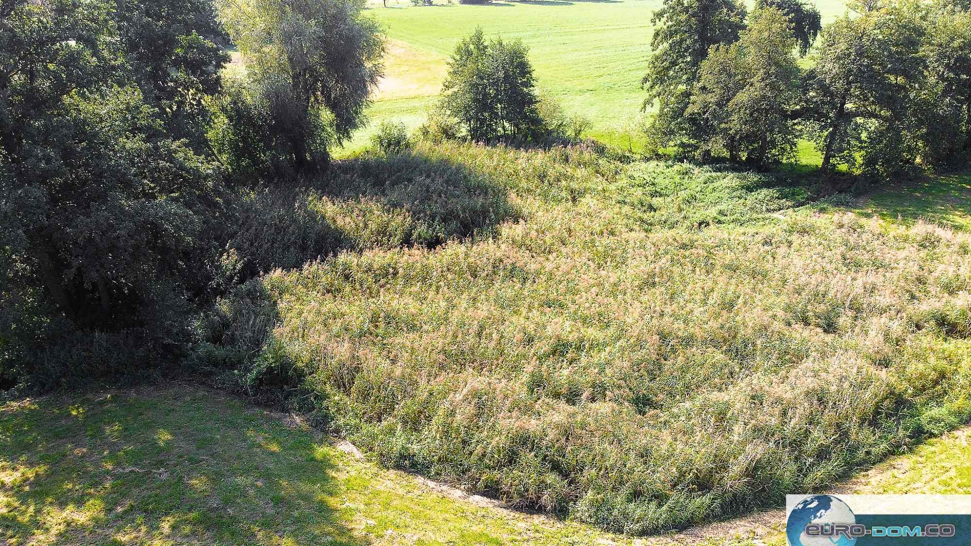 NA SPRZEDAŻ DUŻA DZIAŁKA Z DOSTĘPEM DO DWÓCH STAWÓW BORUCIN Borucin - zdjęcie 8