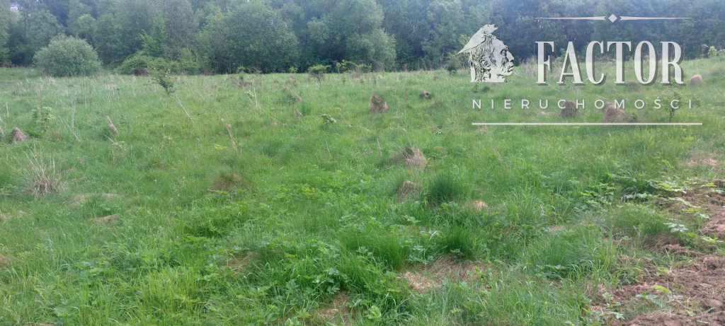 Siary, działka rolna, 1149S/2025 Siary - zdjęcie 1