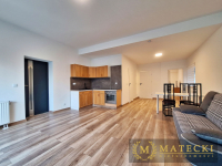 Parter 52,19 m² po remoncie z ogródkiem 50 m² Poznań - zdjęcie 4