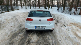 Przepiękny Golf 7 Puławy - zdjęcie 11