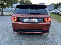Land Rover Discovery Sport Super stan, zarejestrowany w Polsce Nowe Iganie - zdjęcie 6