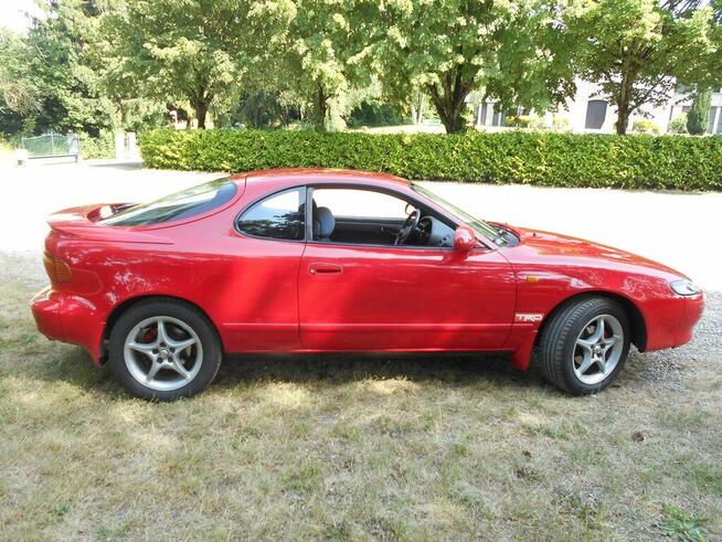 Celiica Wierzchucino - zdjęcie 5