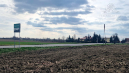 Działka budowlana/siedliskowa 3000m2 z MPZP Sokolniki gm. Kąty Sokolniki - zdjęcie 7