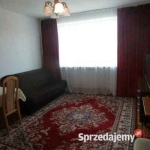 wynajmę pokój osobie pracującej
