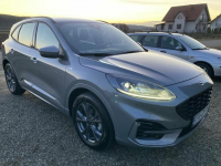 Ford Kuga Gorlice - zdjęcie 7