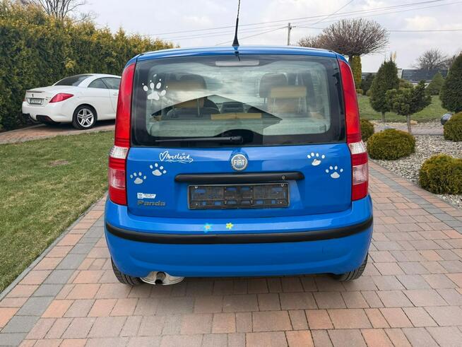 Fiat Panda Klimatyzacja bezwypadkowy !!! Rzeszów - zdjęcie 8