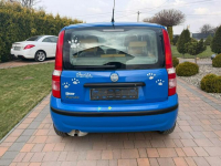 Fiat Panda Klimatyzacja bezwypadkowy !!! Rzeszów - zdjęcie 8