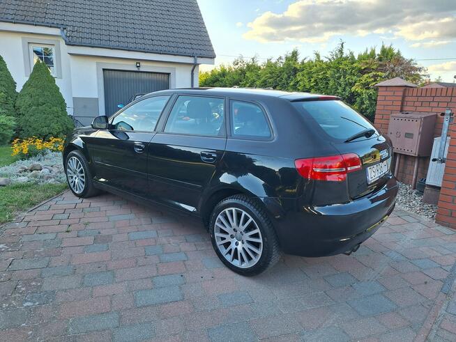 Audi A3 Klimatronik    Serwisowany Stan Bardzo Dobry Załom - zdjęcie 10