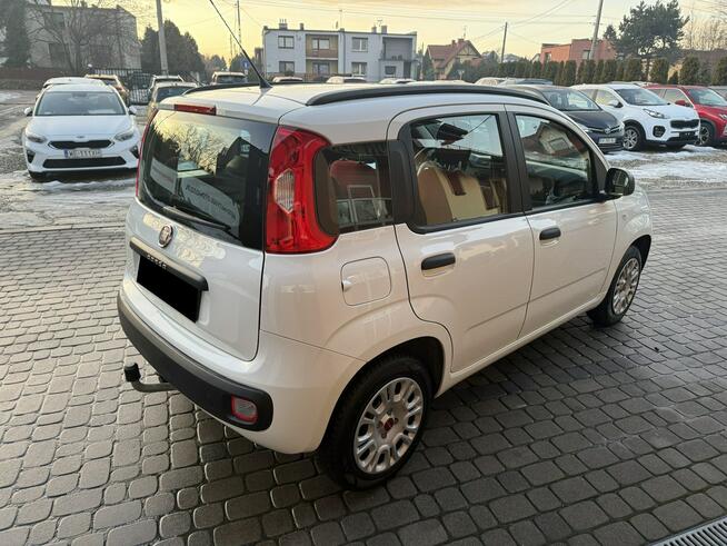 Fiat Panda 1,2 69KM  Klimatyzacja  Serwisowany  1Właściciel Orzech - zdjęcie 6