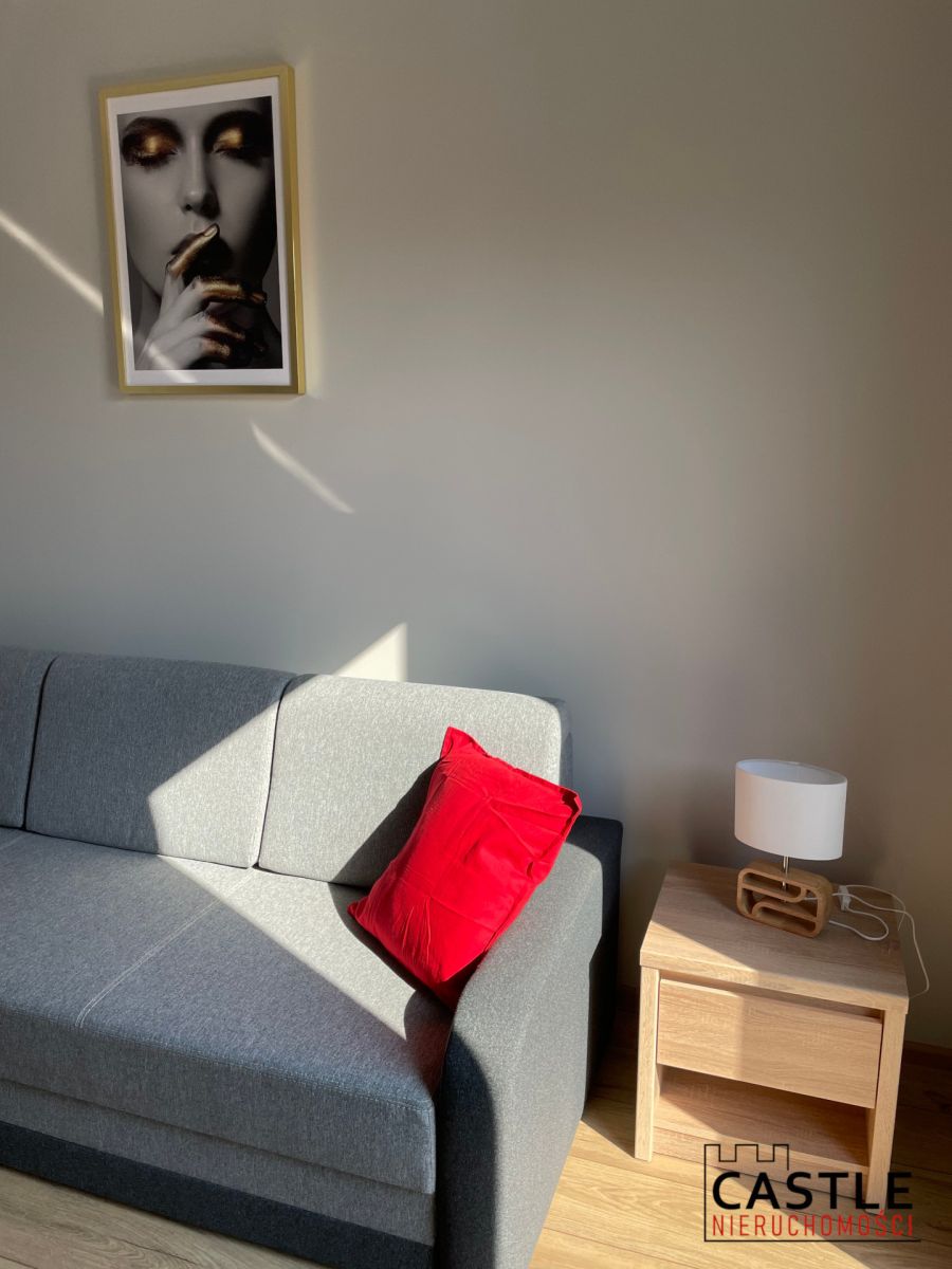 Apartament na Ratajach. Poznań - zdjęcie 12