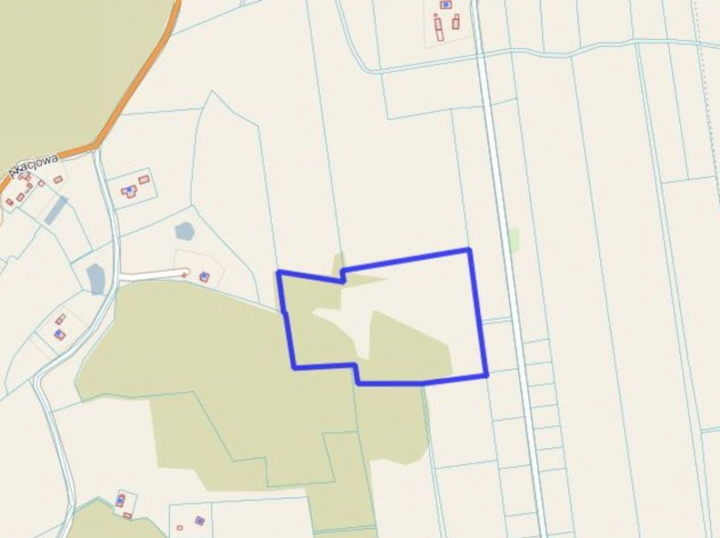 Duża działka rolna Łęczno - zdjęcie 4