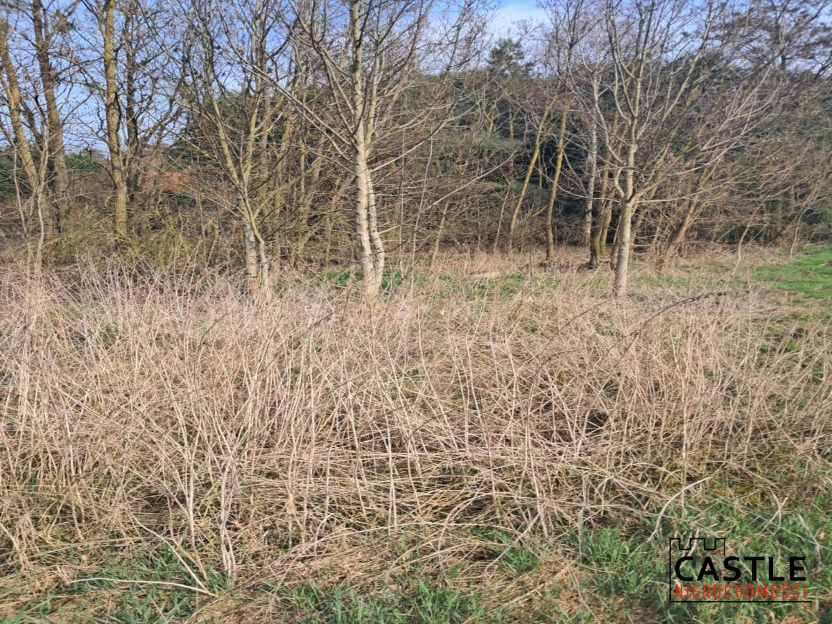 Zamieszkaj w sąsiedztwie lasu Mieściska - zdjęcie 6