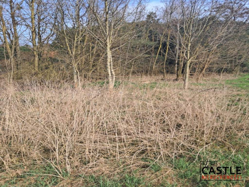 Zamieszkaj w sąsiedztwie lasu Mieściska - zdjęcie 6