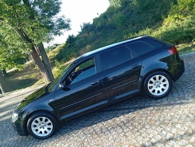AUDI/A3/2.0/TDI/AUTOMAT/ŁOPATKI/SPRAWNA/ZAREJESTR/ Gostynin - zdjęcie 3