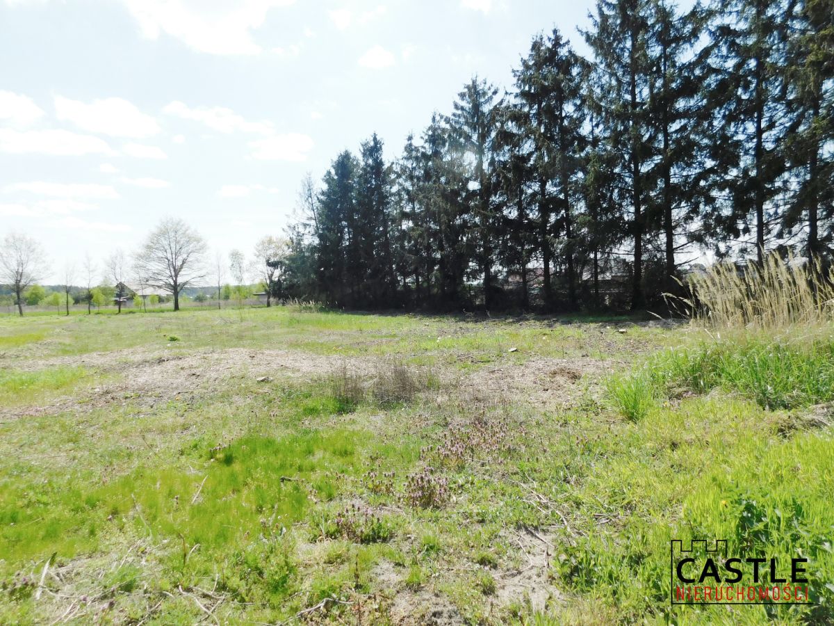 Zamieszkaj w sąsiedztwie lasu Mieściska - zdjęcie 2