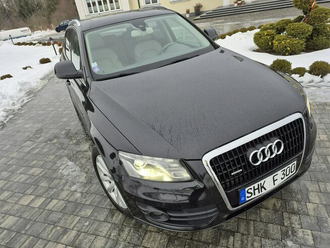 Audi Q5 xenon led navi chromy KAMERA ładny HYBRYDA quattro Drelów - zdjęcie 12