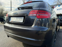 Audi A3 Klimatronic 2-stref, 2 kpl. kół, Ele szyby 4x, Ele lusterka Cieszyn - zdjęcie 12