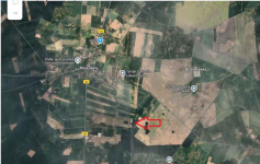 nieruchomość gruntowa niezabudowana, stanowiąca grunt leśny Stare Miasto - zdjęcie 3