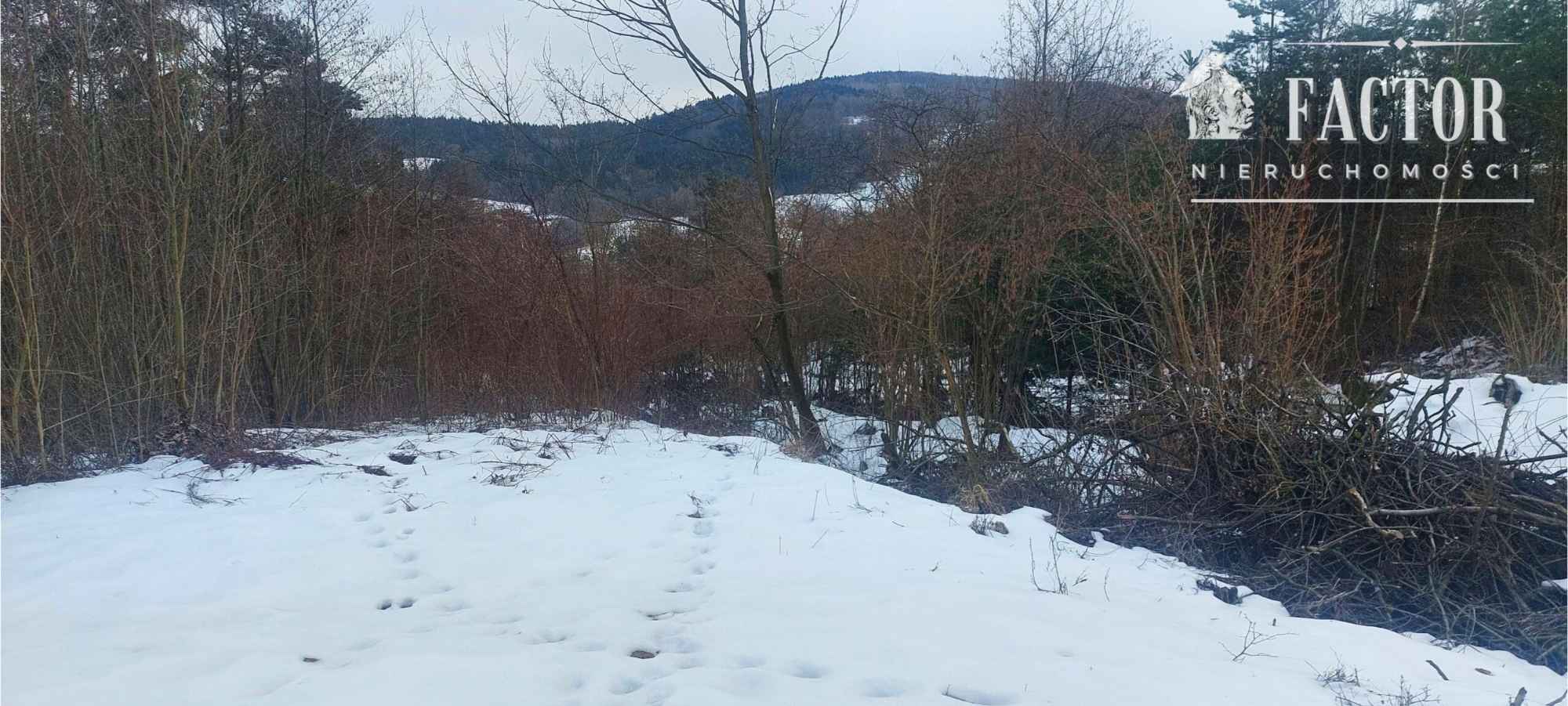 Działka budowlana w otulinie drzew 57 a – Siary, gm. Sękowa 1176S/2026 Siary - zdjęcie 1