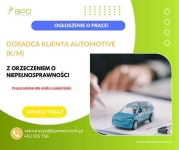 Doradca Klienta Automotive (K/M) z orzeczeniem zdalnie cała Polska Ochota - zdjęcie 2