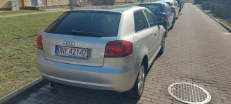 Audi A3 8P 1.6 TDI 2010 Nysa - zdjęcie 2