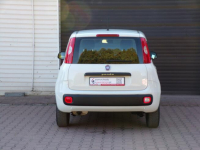 Fiat Panda Klimatyzacja /Gwarancja /I właść /1,2 /70KM /2017r Mikołów - zdjęcie 12
