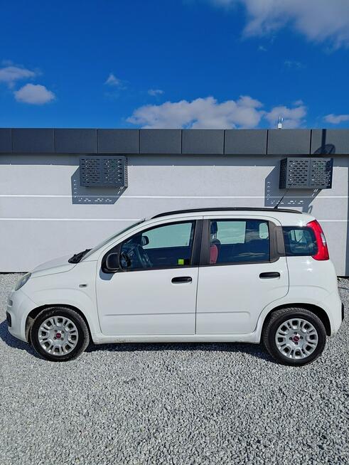 Fiat Panda 1.2 1Wł Salon PL Miękinia - zdjęcie 4