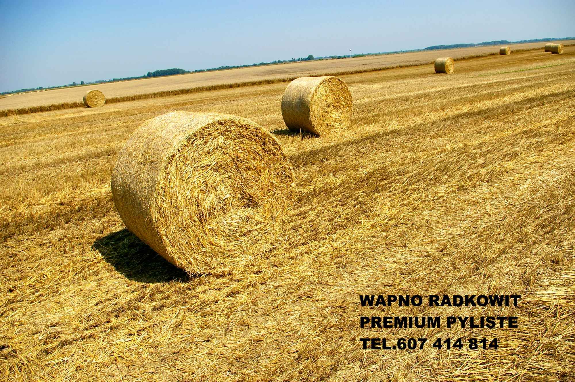 WAPNO WĘGLANOW0-MAGNEZOWE RADKOWIT PREMIUM PYLISTE Strzelce Opolskie - zdjęcie 1