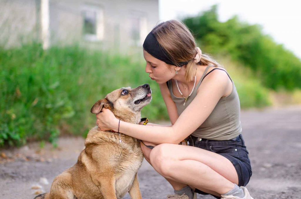 Tores - niekonfliktowy, rodzinny psiak! Olsztyn - zdjęcie 2